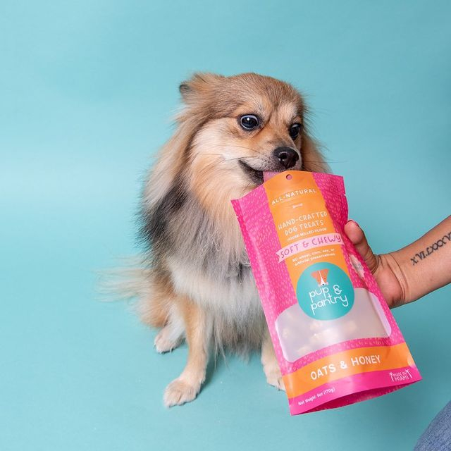 Bolsa de pie de impresión digital renovable reciclable y sostenible para alimentos de perros con cremallera