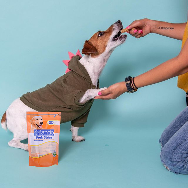 Compostable industrial sostenible 100% biodegradable bolsas de comida para mascotas (perros) 
