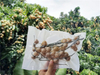 Bolsas de aspiración de grado de alimentos transparentes biodegradables ecológicos