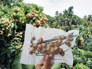 Bolsas de vacío de grado alimenticio transparentes biodegradables respetuosas con el medio ambiente